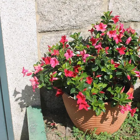 Precioso Piso En Playa America Con Jardin Privado. アパート *